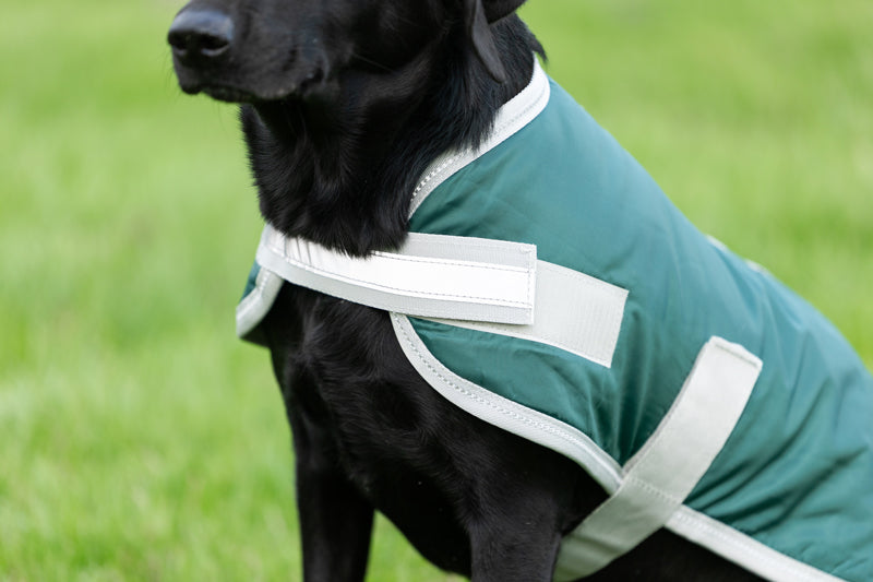 Classic 240g Waterproof Dog Coat - Hunter Green