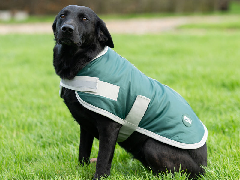 Classic 240g Waterproof Dog Coat - Hunter Green
