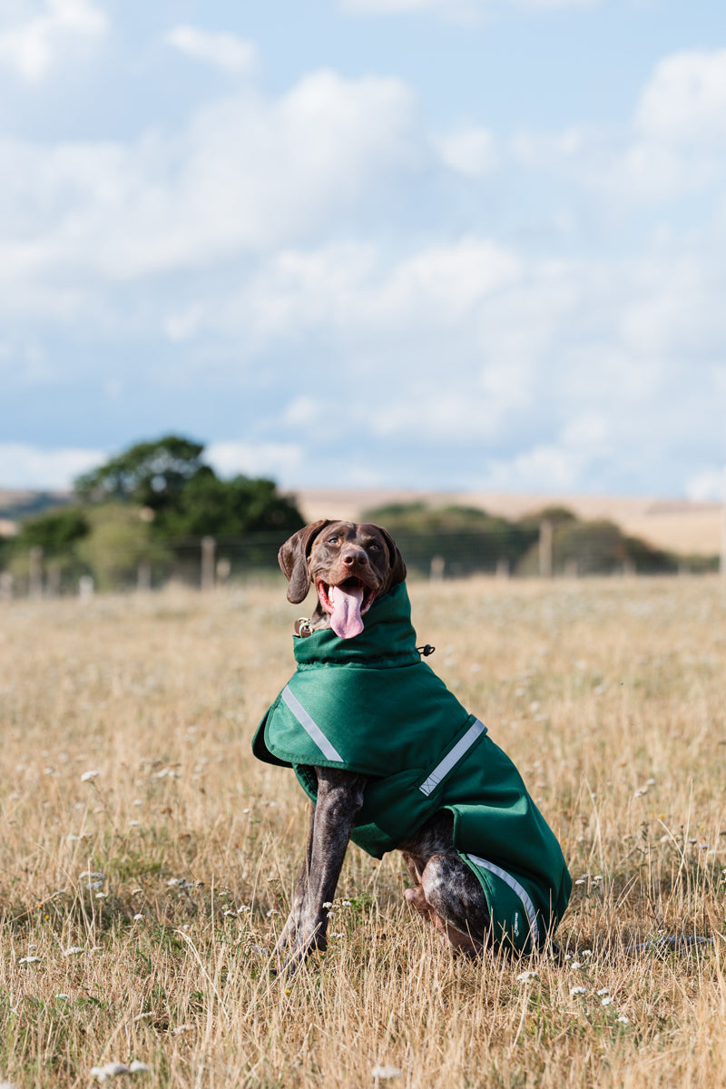 Luxe Waterproof Dog Coat 250g - Hunter Green