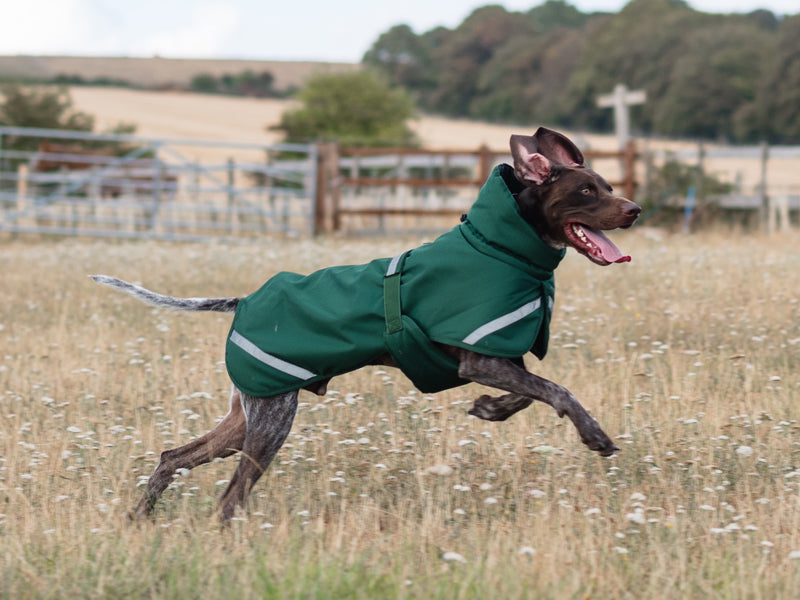 Luxe Waterproof Dog Coat 250g - Hunter Green