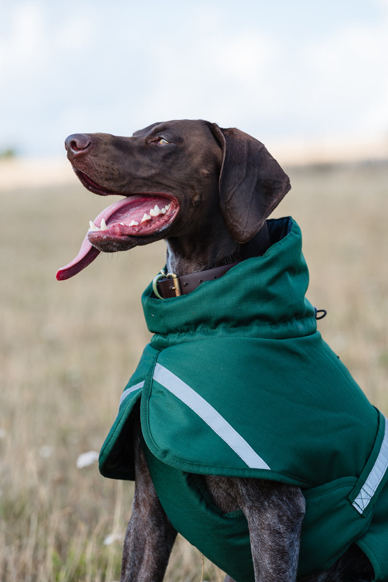 Luxe Waterproof Dog Coat 250g - Hunter Green