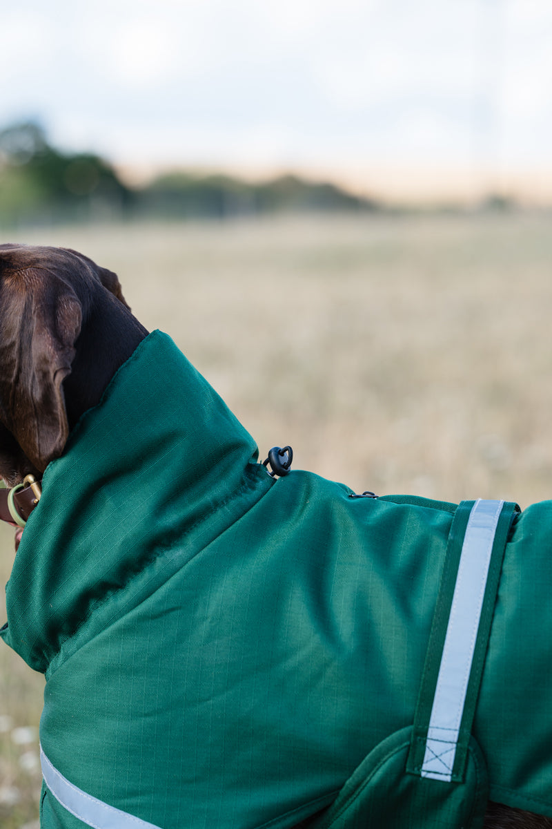 Luxe Waterproof Dog Coat 250g - Hunter Green