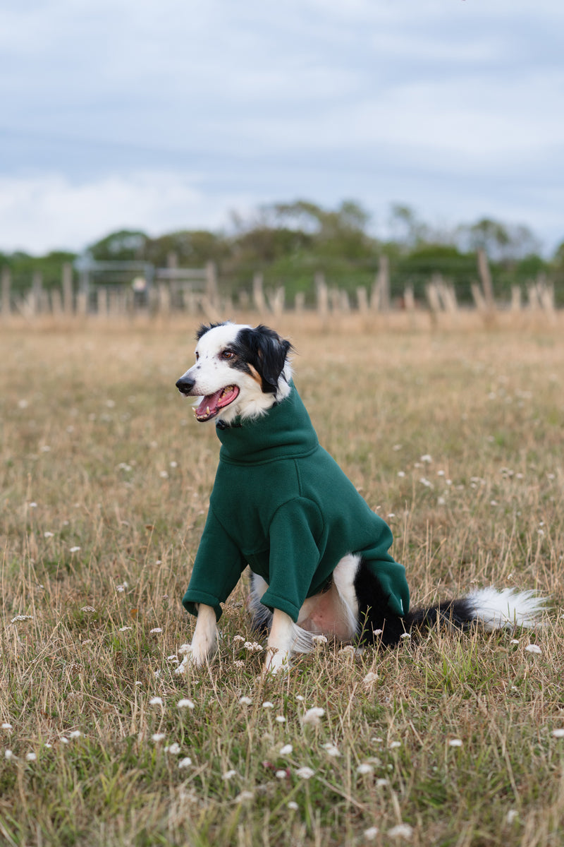 Fleece Dog Jumper - Hunter Green