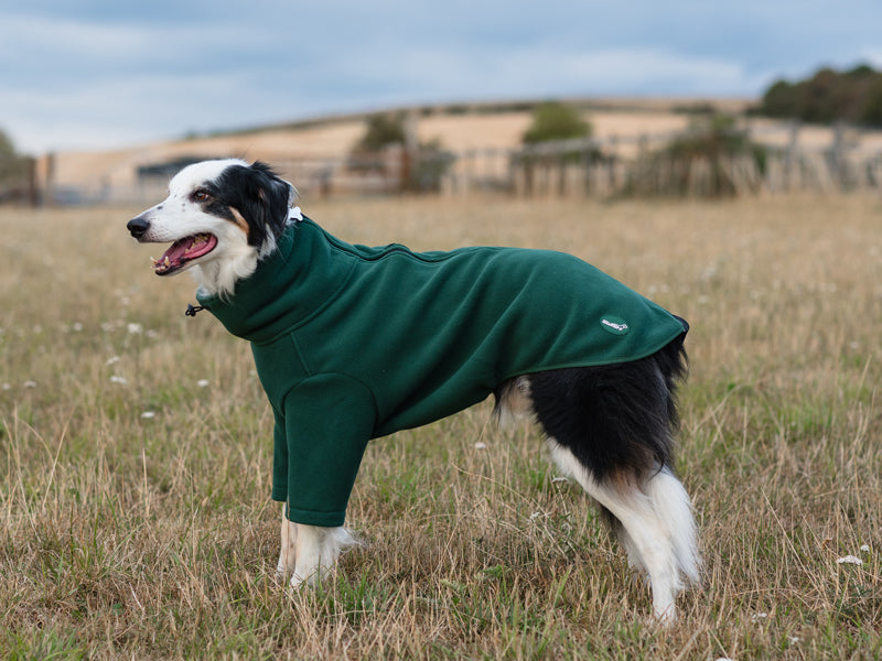 Fleece Dog Jumper - Hunter Green