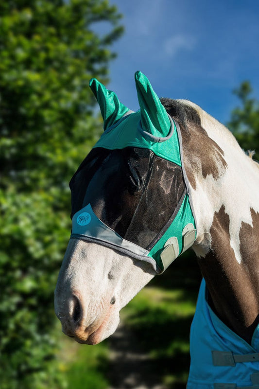 Horse Fly Mask - Green