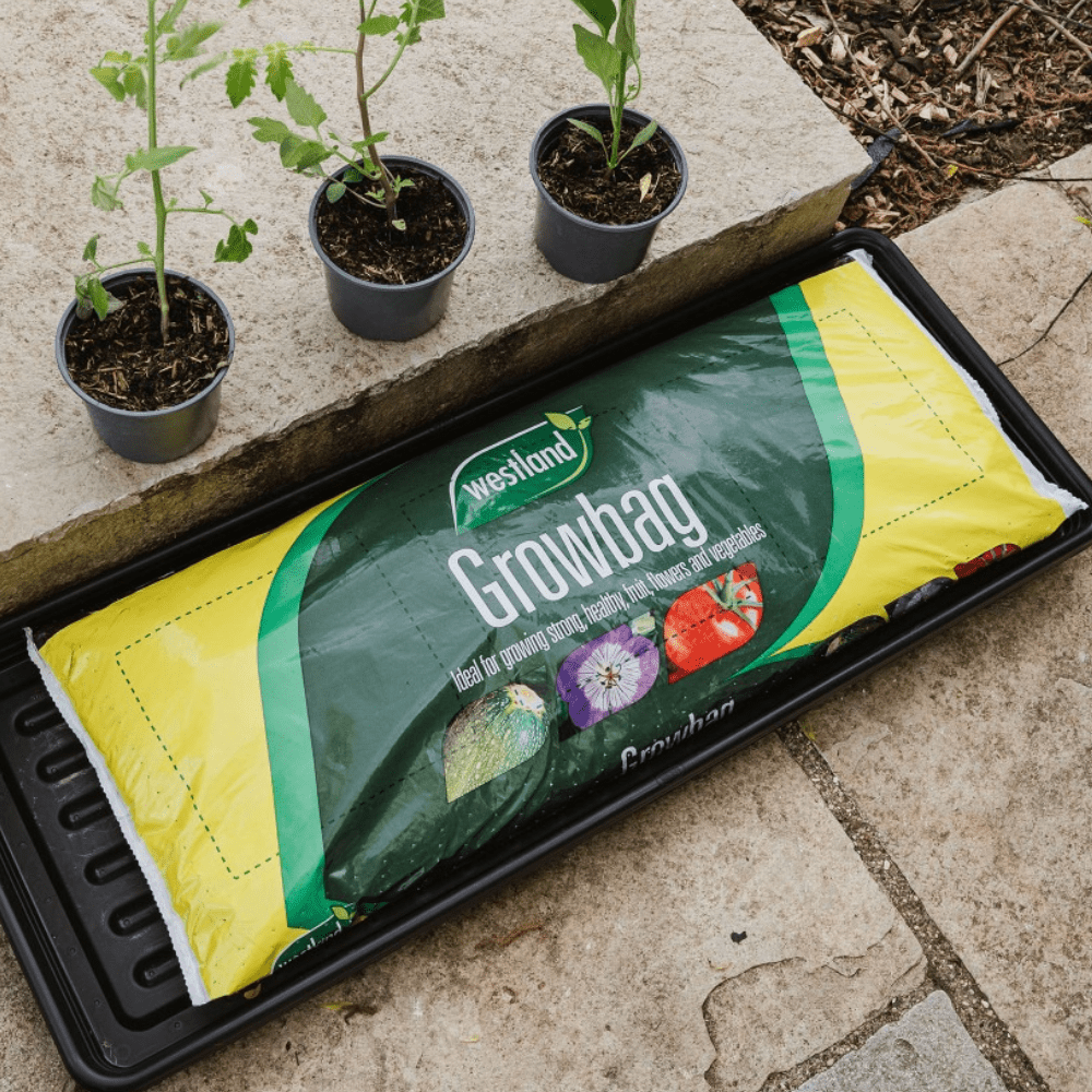 Growbag Bulk Buy