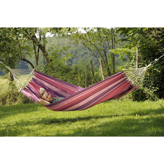 Tonga Candy Hammock