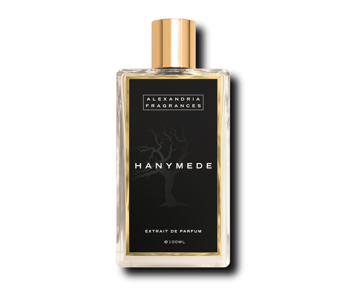 Hanymede Inspired By Ganymede