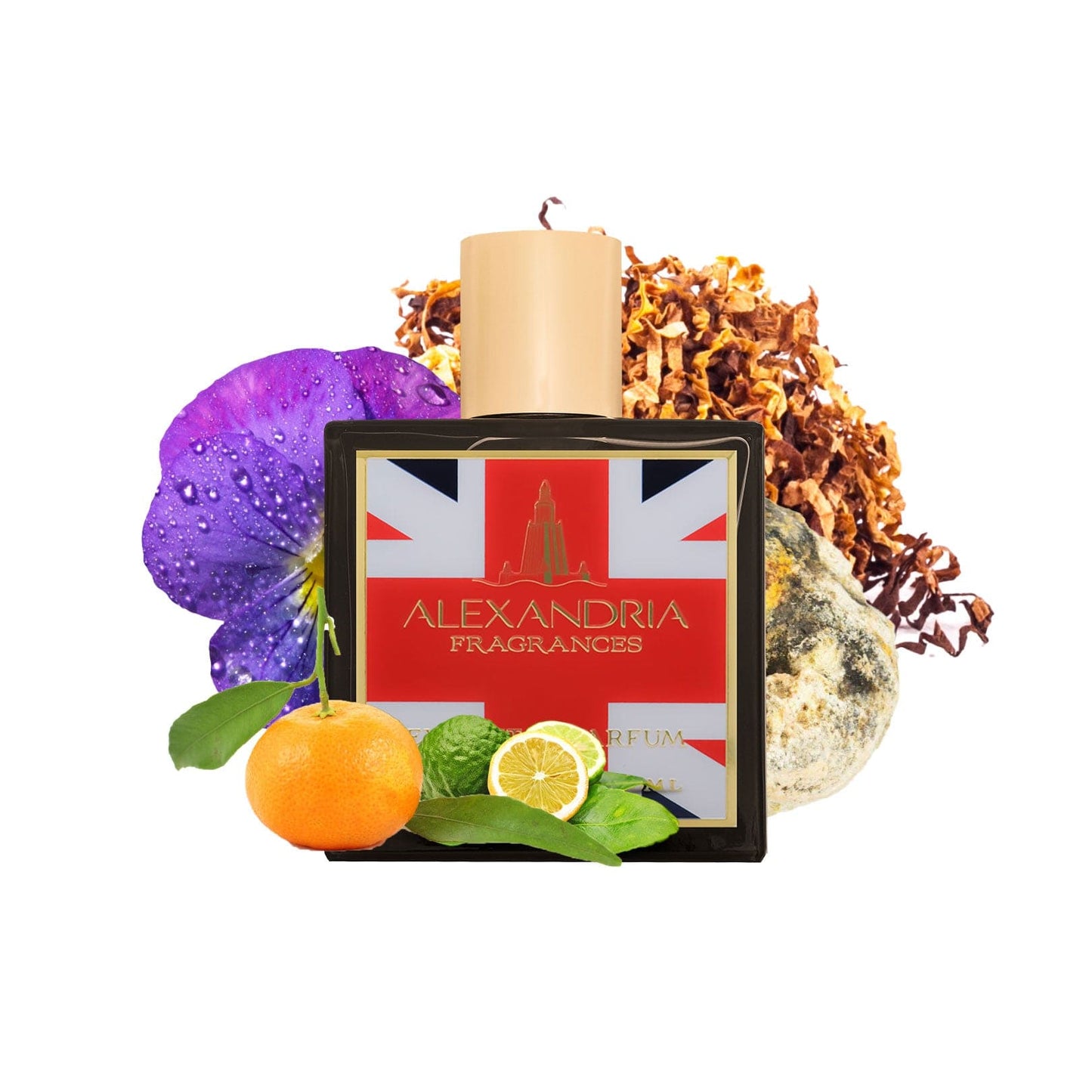 HAVANA TABAC Inspired By Montabaco (UK Exclusive)