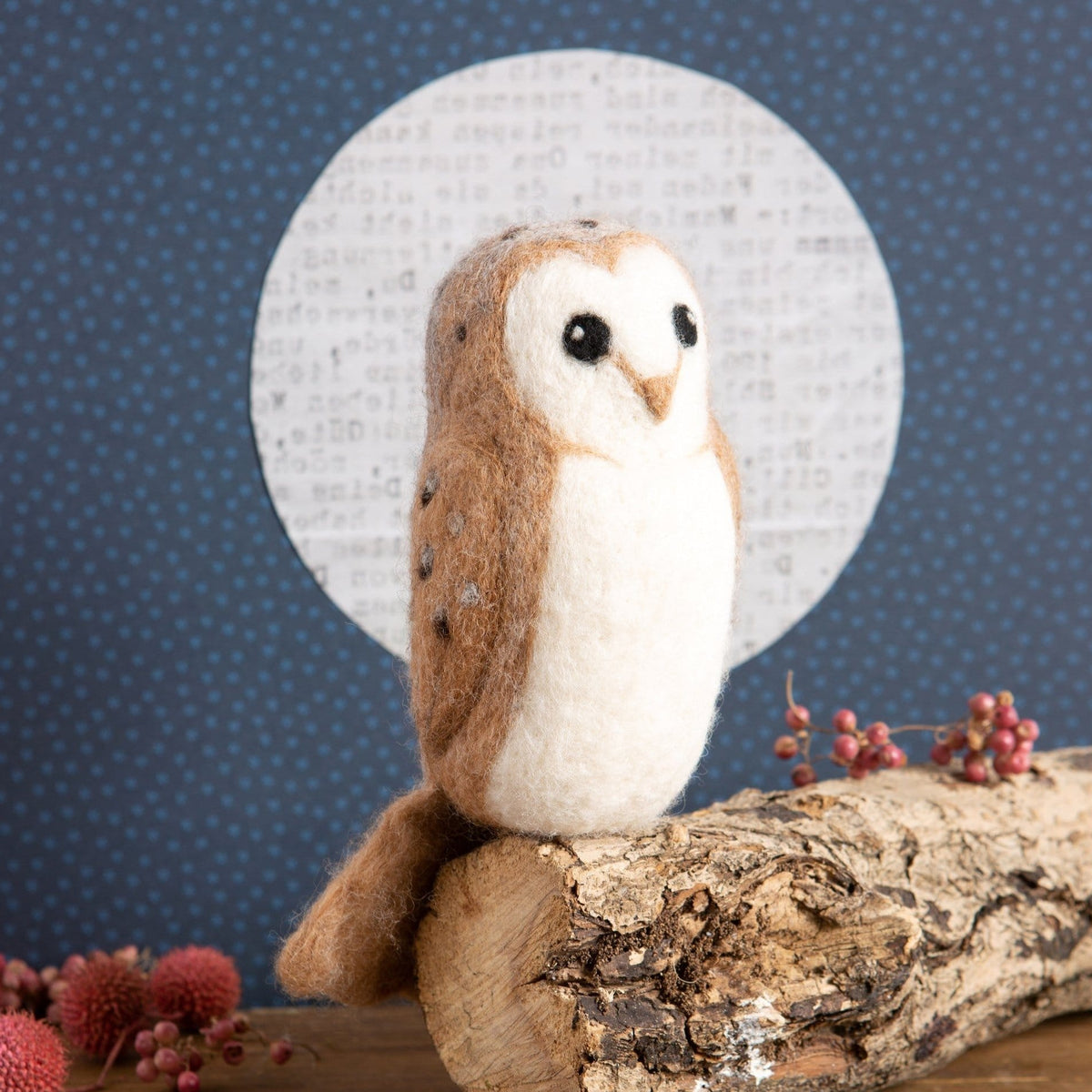 Barn Owl Bird Needle Felting Kit for Beginners