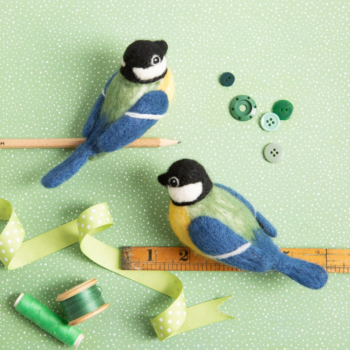 Great Tits Bird Needle Felting Kit for Beginners