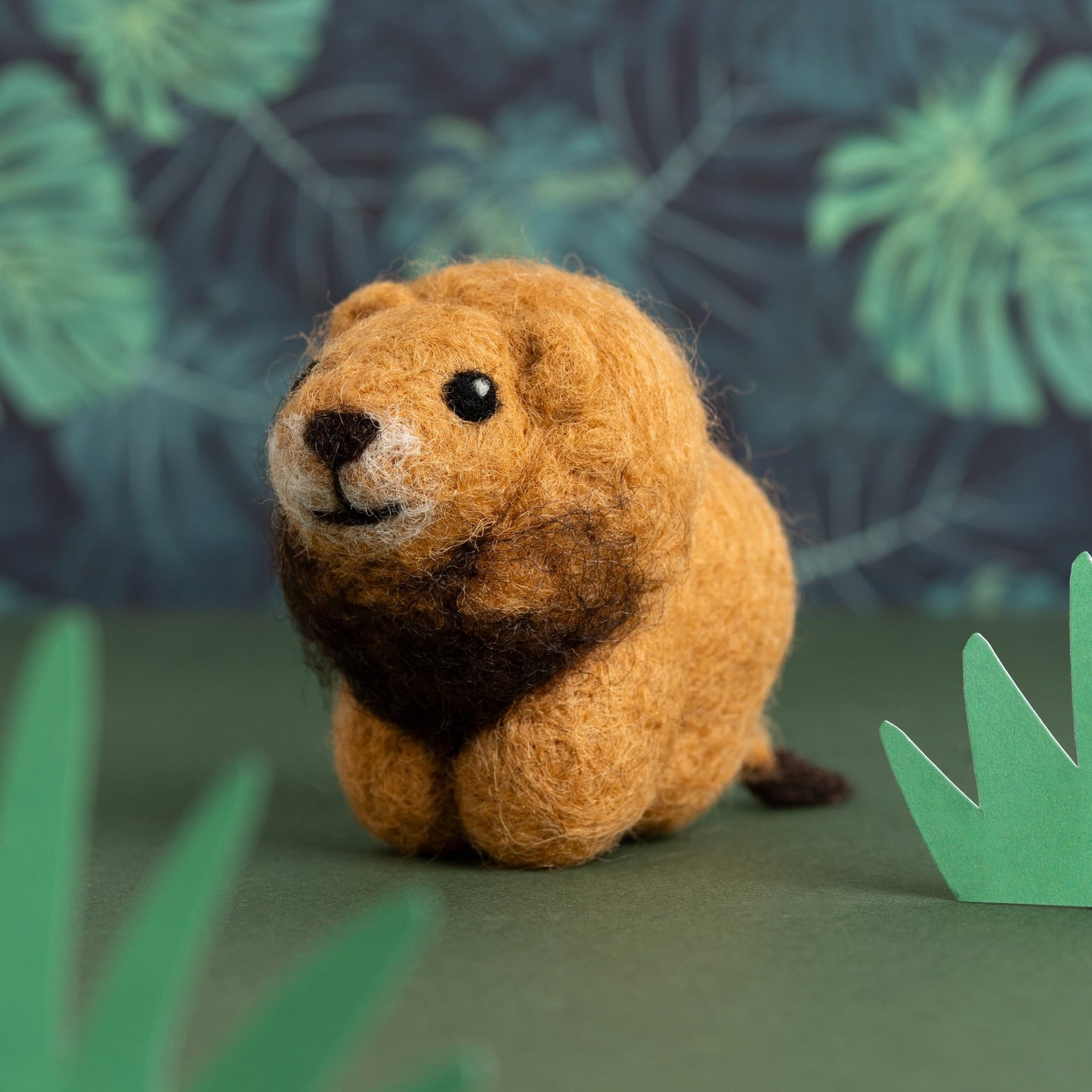 Lion Needle Felting Kit for Beginners