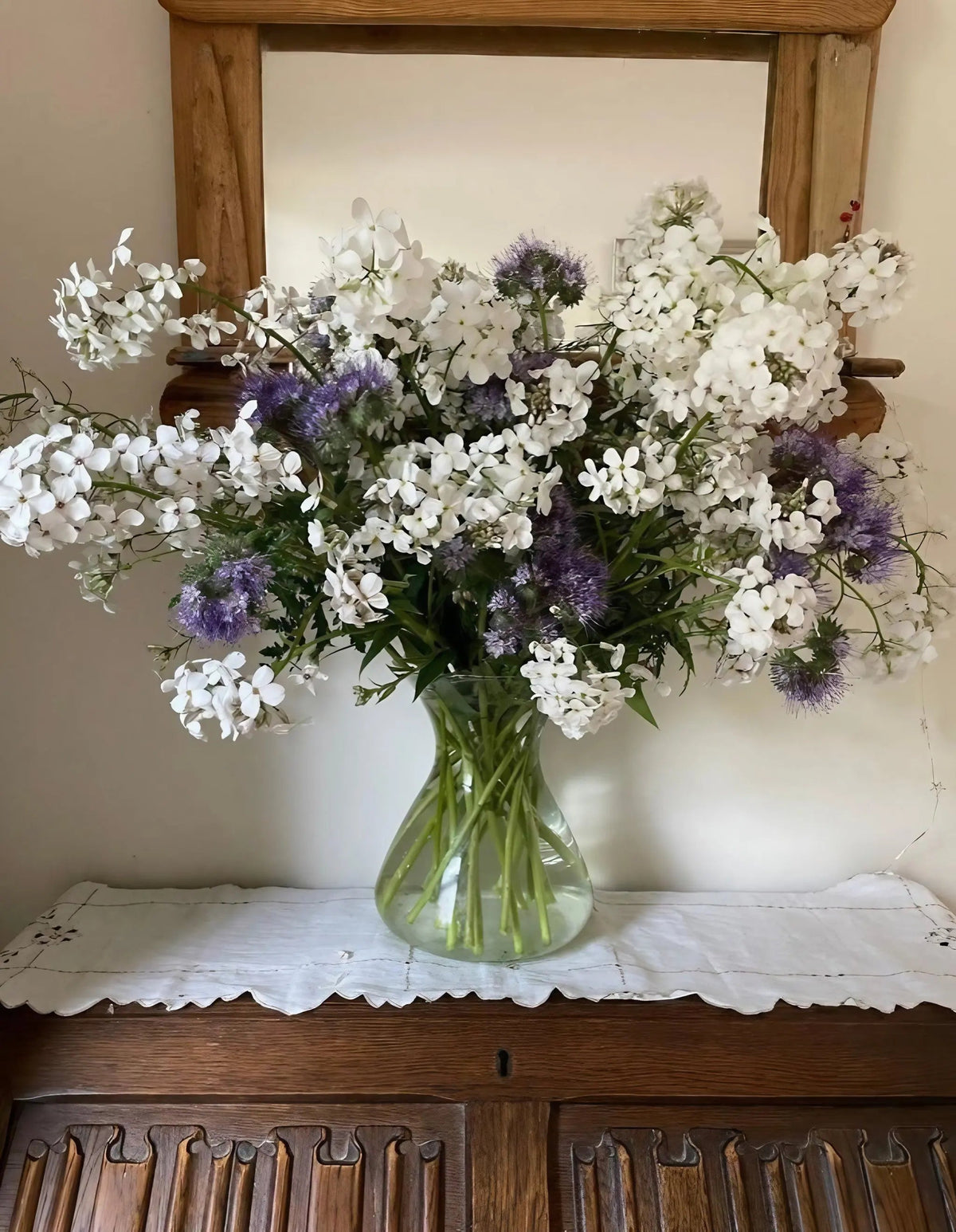Hesperis White (Sweet Rocket)