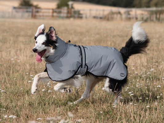 Luxe Waterproof Dog Coat 0g - Reflective Silver