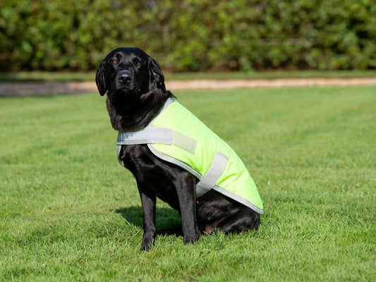 Classic 240g Waterproof Dog Coat - High Viz Yellow