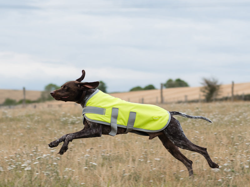 Classic Waterproof Dog Coat 150g - High Viz Yellow