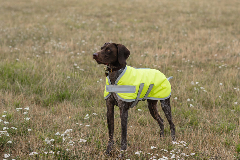 Classic Waterproof Dog Coat 150g - High Viz Yellow