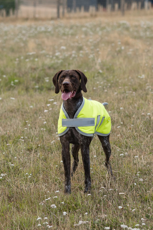 Classic Waterproof Dog Coat 150g - High Viz Yellow
