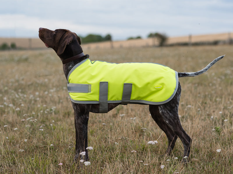 Classic Waterproof Dog Coat 150g - High Viz Yellow