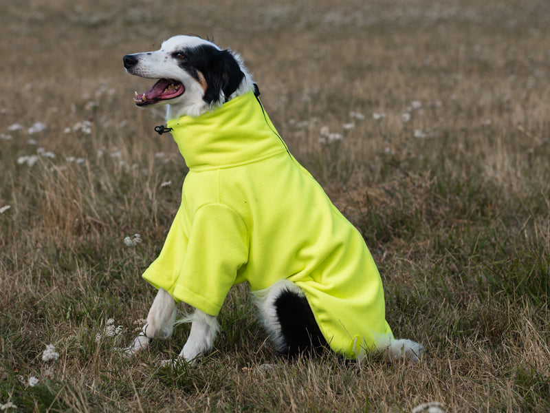 Fleece Dog Jumper - High Viz Yellow