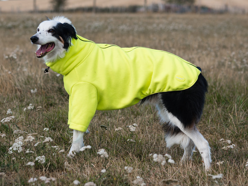 Fleece Dog Jumper - High Viz Yellow