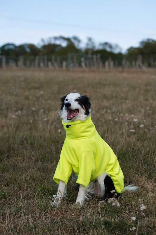 Fleece Dog Jumper - High Viz Yellow