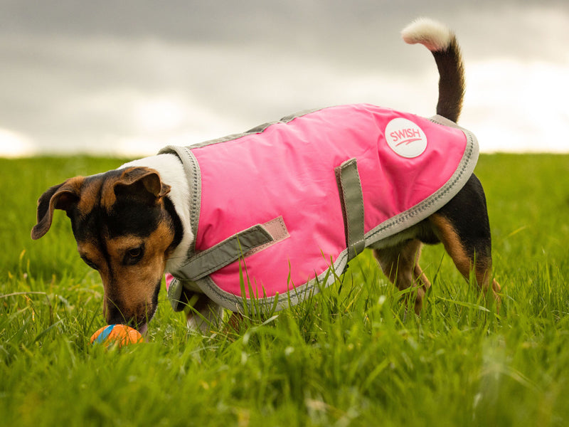 Classic 240g Waterproof Dog Coat - High Viz Pink
