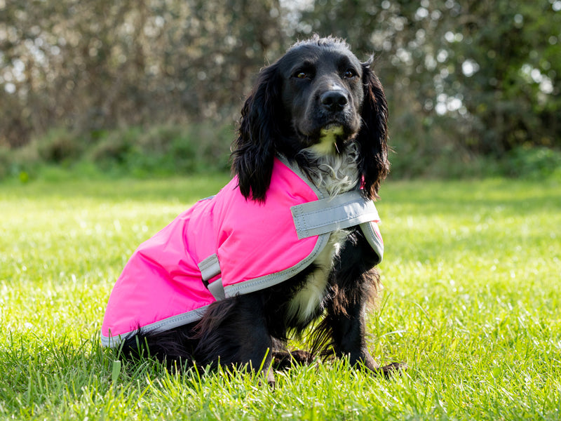 Classic 240g Waterproof Dog Coat - High Viz Pink