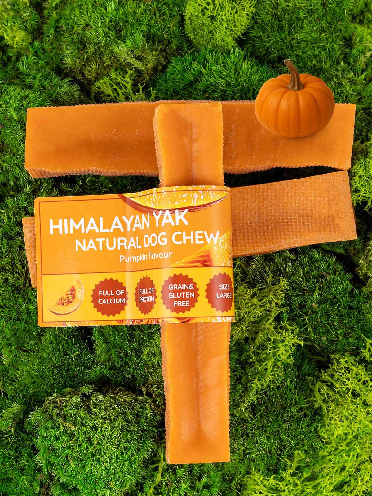 Floppy Ear Pumpkin Yak Dog Chew