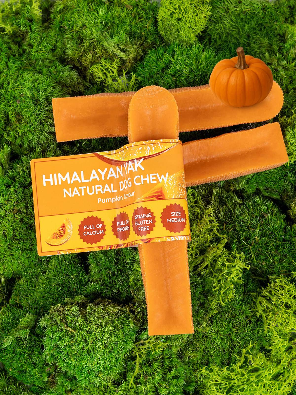 Floppy Ear Pumpkin Yak Dog Chew
