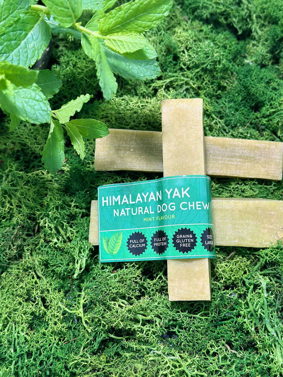 Floppy Ear Mint Yak Dog Chew