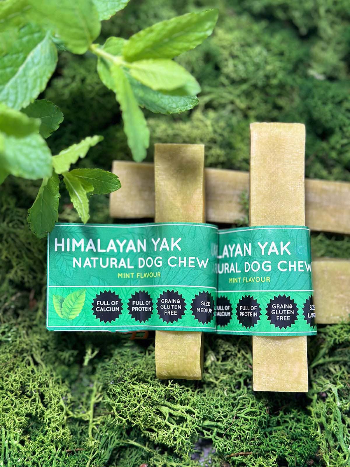 Floppy Ear Mint Yak Dog Chew