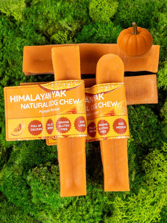 Floppy Ear Pumpkin Yak Dog Chew