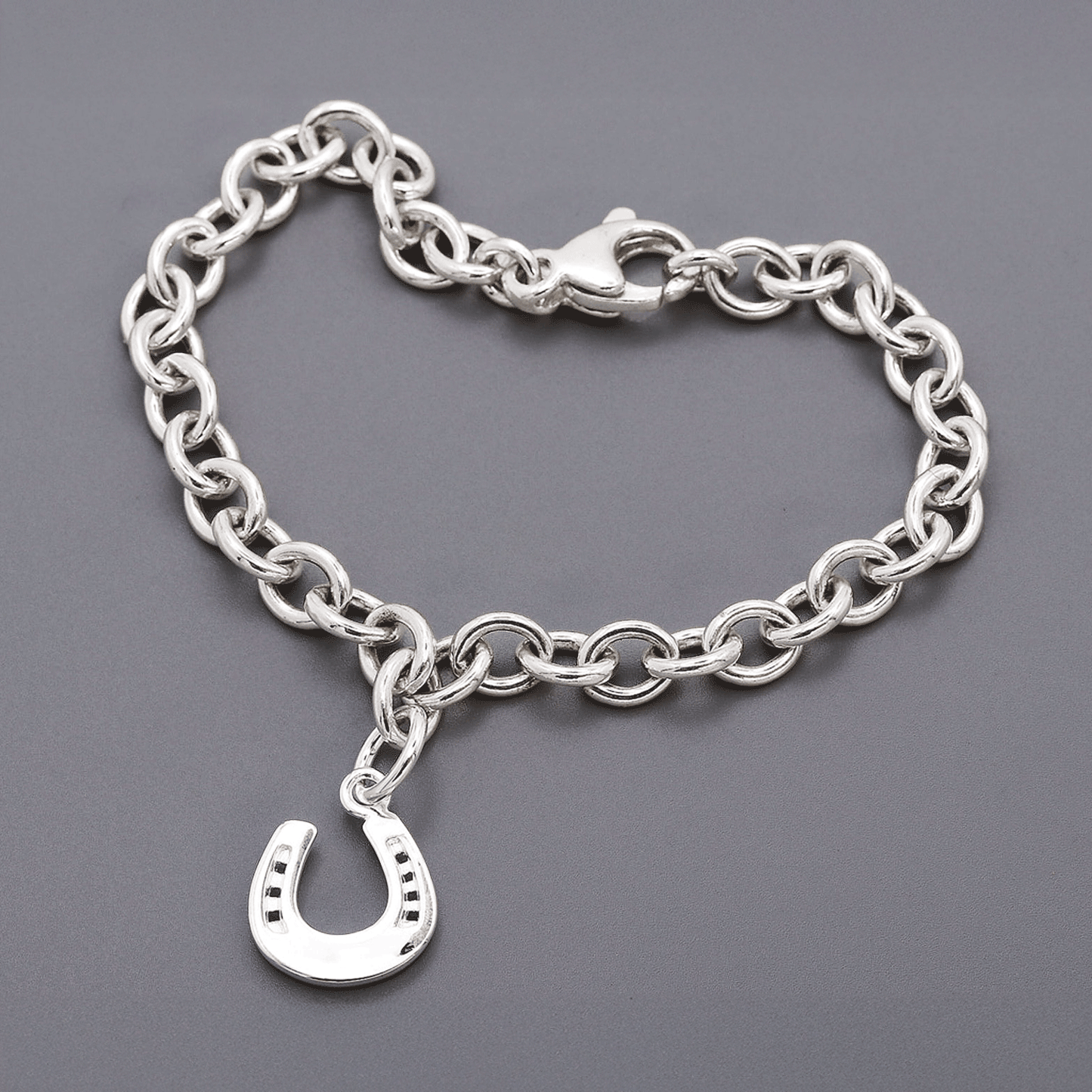 Horse Shoe Lucky Silver Charm