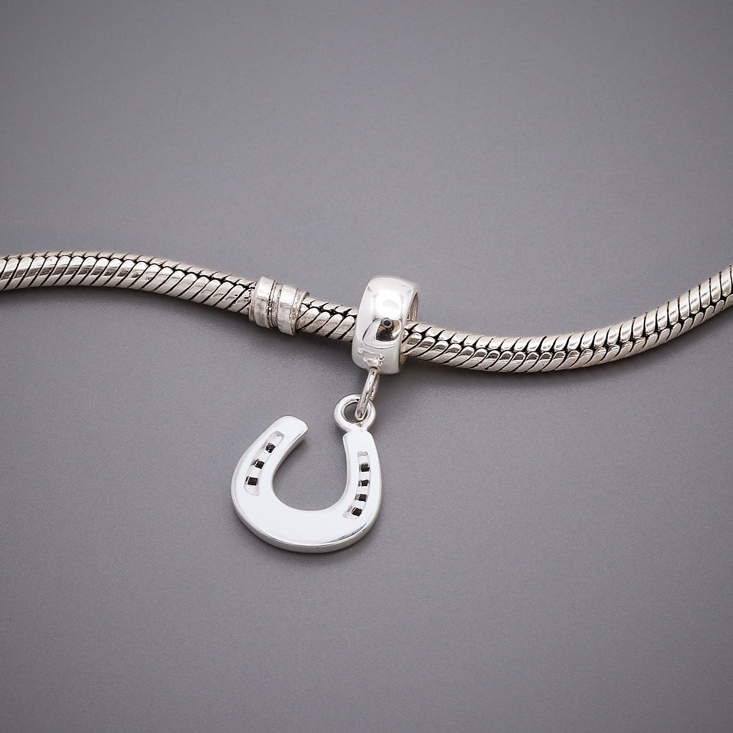 Horse Shoe Lucky Silver Charm