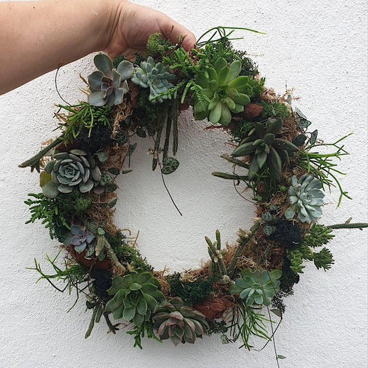 10/05/2026 at 12pm Living succulent wreath workshop