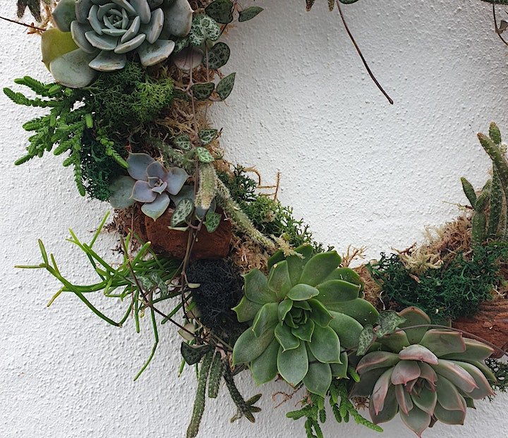 21/02/2026 at 11am Living succulent wreath workshop