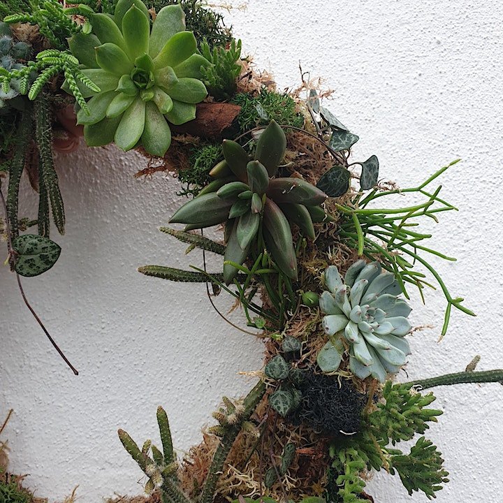 02/04/2026 at 6pm Living succulent wreath workshop