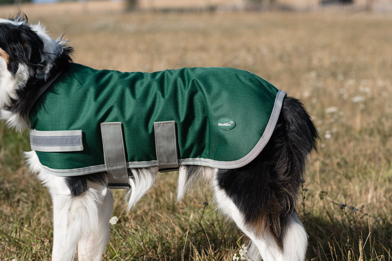 Classic Waterproof Dog Coat 150g - Hunter Green