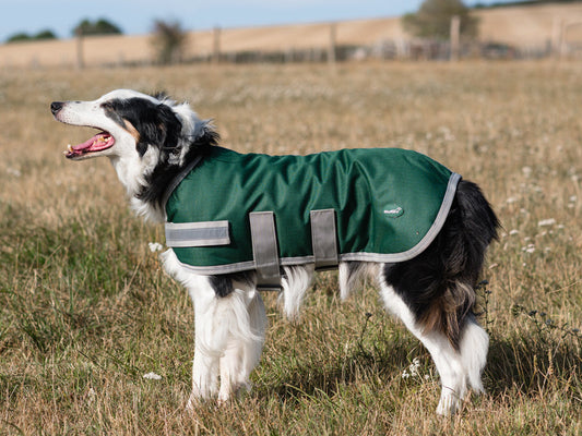 Classic Waterproof Dog Coat 150g - Hunter Green