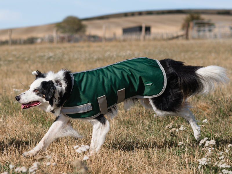 Classic Waterproof Dog Coat 150g - Hunter Green