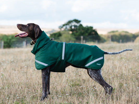 Luxe Waterproof Dog Coat 250g - Hunter Green
