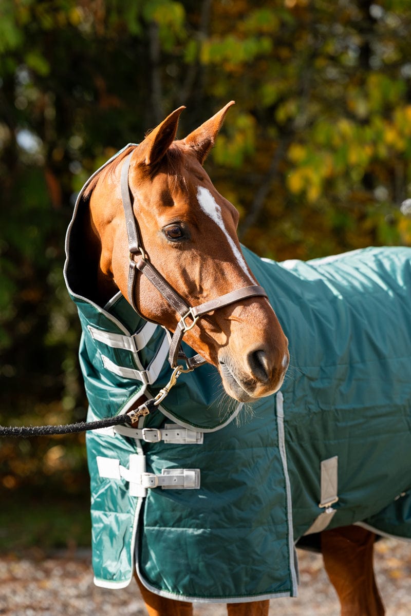 100g Stable Rug With Detachable Neck - Hunter Green