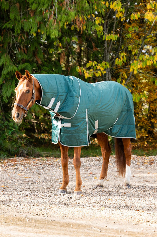 100g Stable Rug With Detachable Neck - Hunter Green