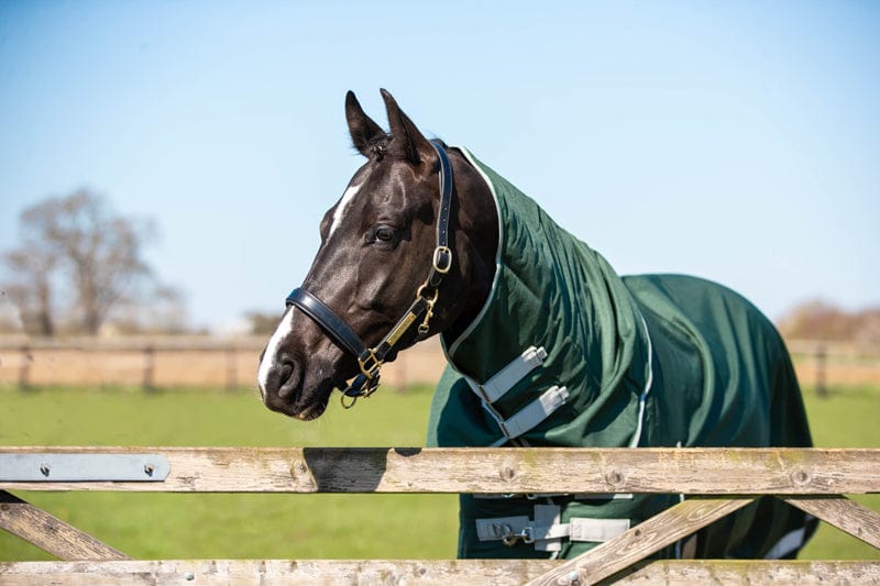 50g Detachable Neck Turnout Rug - Hunter Green