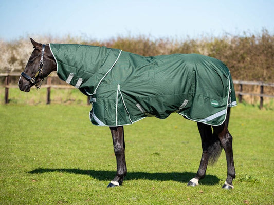 300g Detachable Neck Turnout Rug - Hunter Green