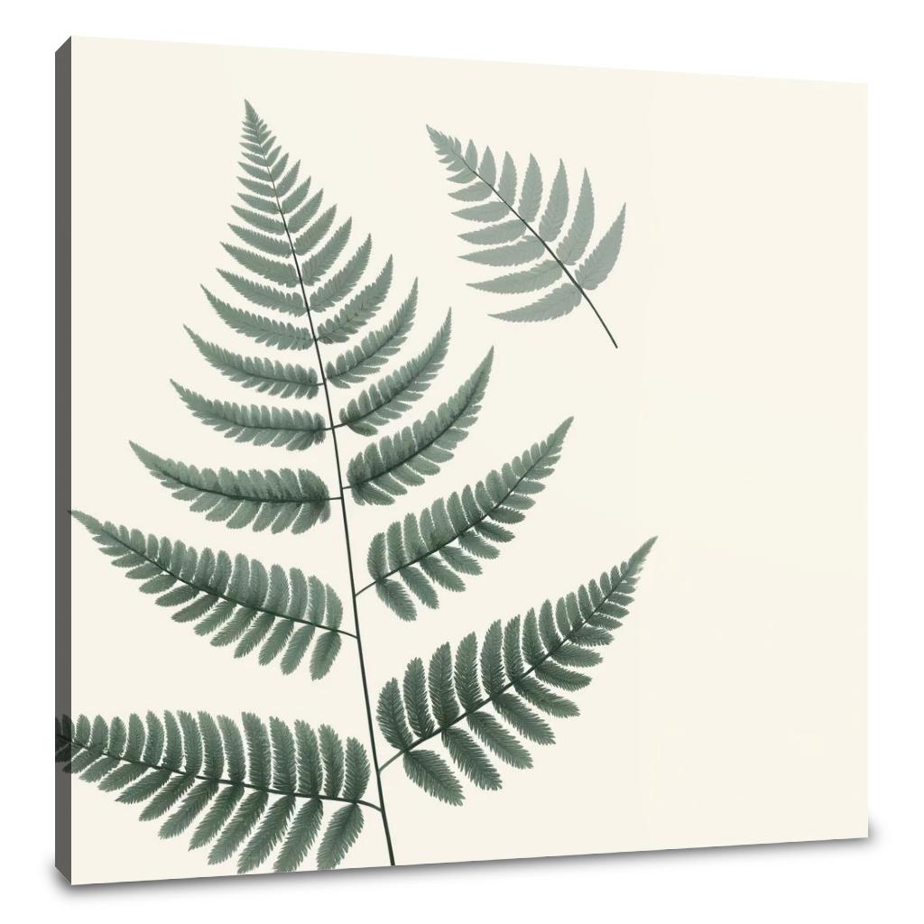 Elegant Fern Canvas