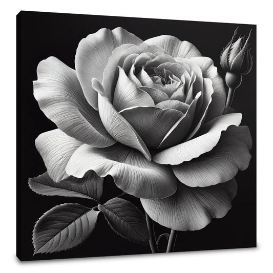 Velvet Bloom Canvas