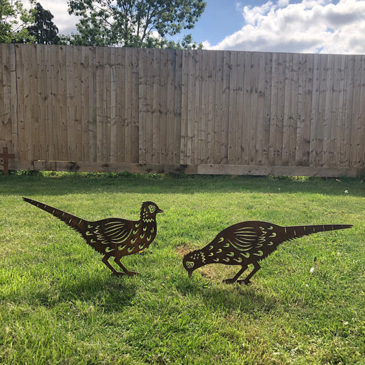 2 Rusty Metal Pheasants Garden Pheasants