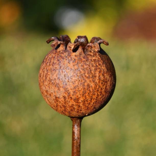 Rusty Metal Poppy Seedhead